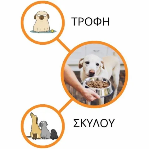 Τροφη Σκυλος