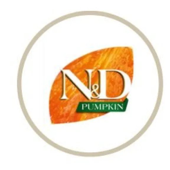 ND Pumpkin Σκύλος