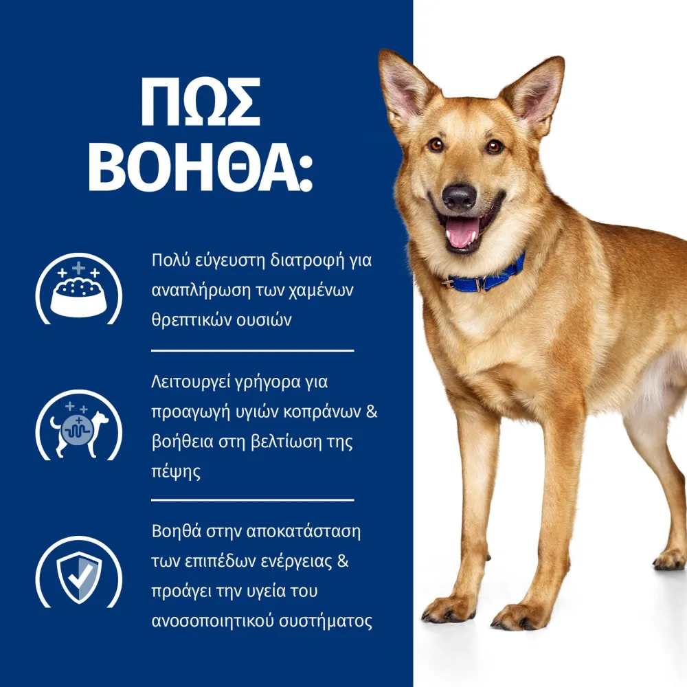 Pd Canine I/D Γαλοπούλα 12X360Gr