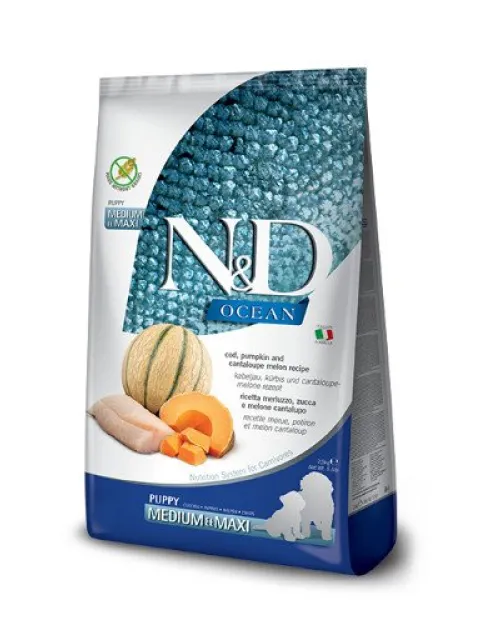 N&D COD, Pumkin & Cantaloupe Melon puppy medium/maxi 12kg