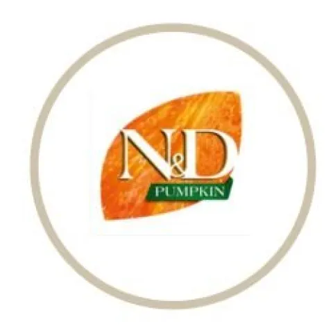 ND Pumpkin Cat