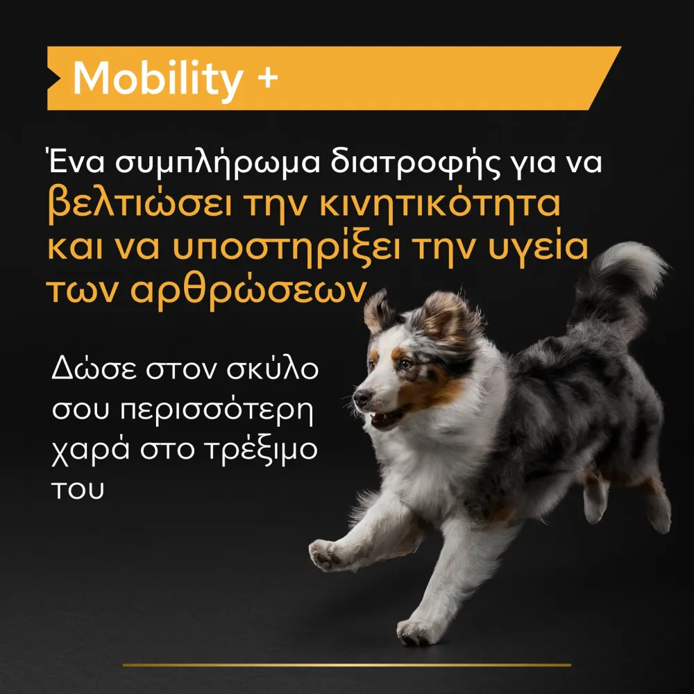 Pro Plan Mobility+ Συμπλήρωμα διατροφής για σκύλους 60gr
