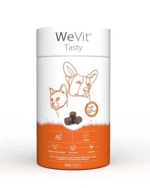 WEVIT TASTY 30 SOFT CHEWS