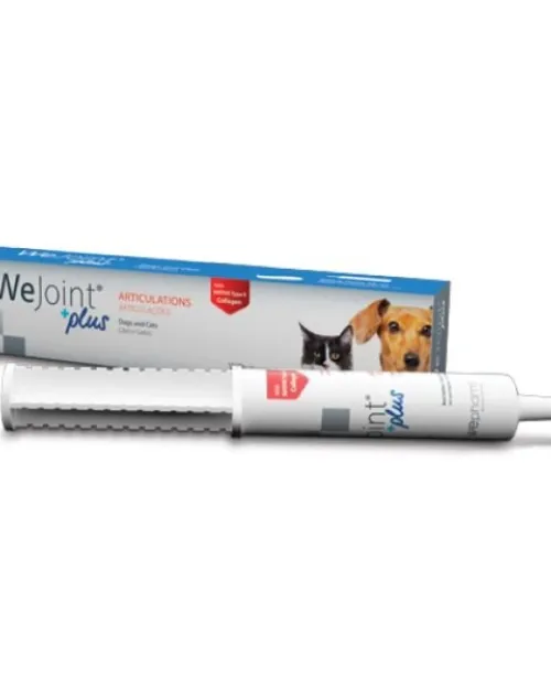 Wejoint Plus Πάστα 30ml