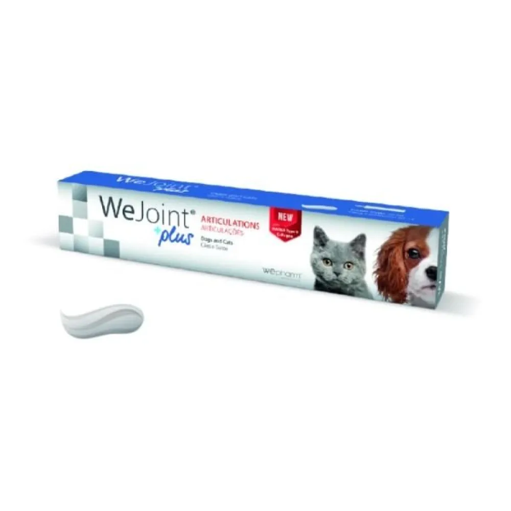 Wejoint Plus Πάστα 30ml