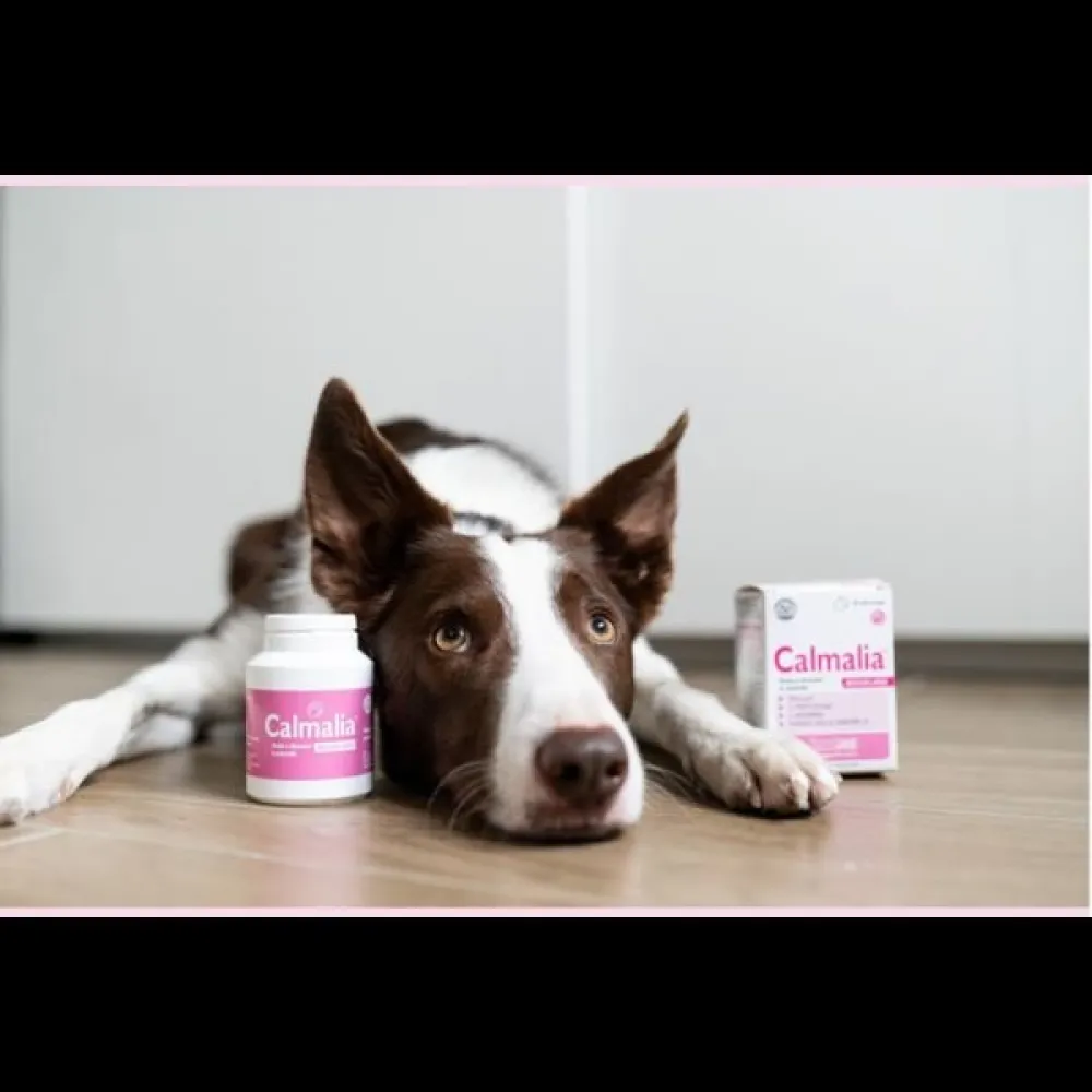 Innovet Calmalia Medium & Large 30 soft chews για την ένταση και το άγχος
