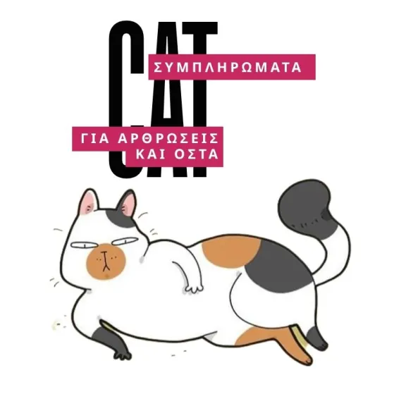 Συμπληρώματα διατροφής για αρθρώσεις και οστά γατών