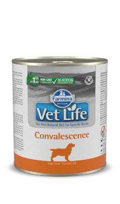 VET LIFE Convalescence Wet Food Canin