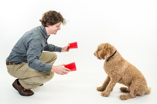 human pet