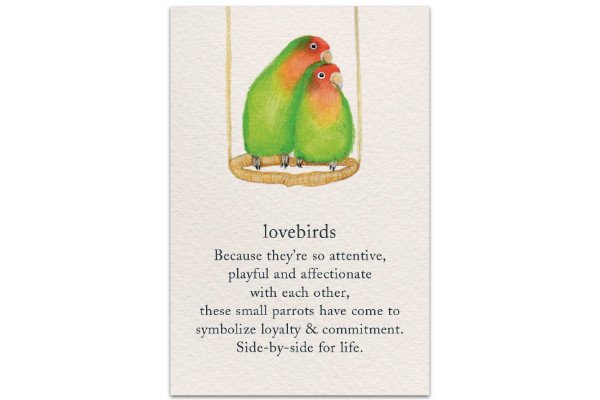 lovebirds