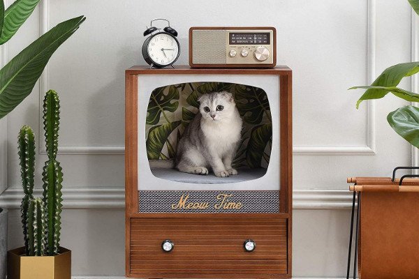 5 + 1 ταινίες με τις αγαπημένες σας γάτες!