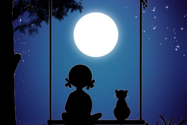 Ένα Αυγουστιάτικο φεγγάρι και μια… γάτα!