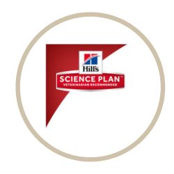 Hill science plan Γάτα