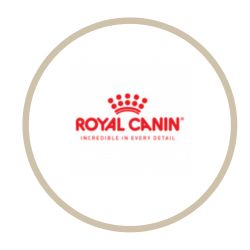 Royal Canin Γάτα