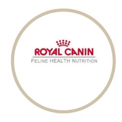 Royal canin feline health nutrition Γάτα