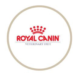 Royal canin feline care nutrition Γάτα