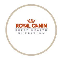 Royal canine feline breed nutrition Γάτα