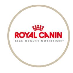 Royal Canin Size Health Nutrition Σκύλος
