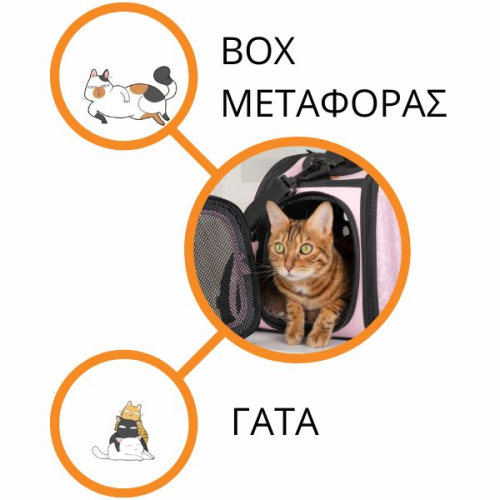 Πλαστικά Box Μεταφοράς Γάτας