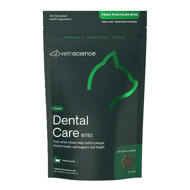 Dental Care Bites