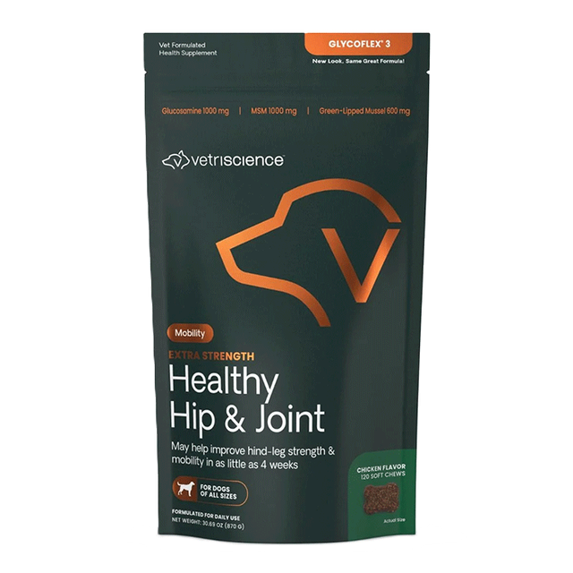 Health Hip and Joint