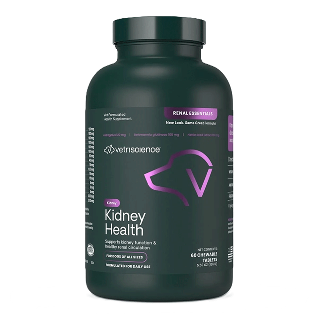 Kidney Health canine
