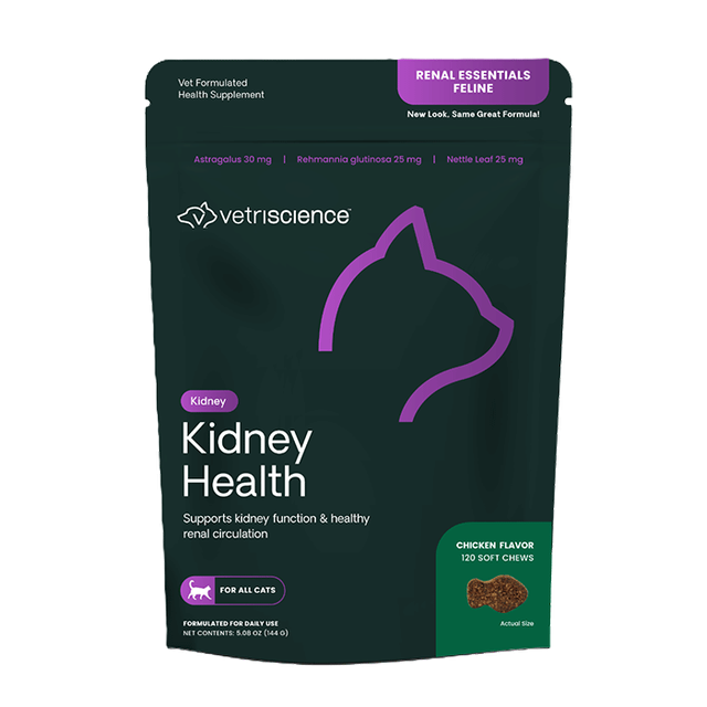 Kidney Health