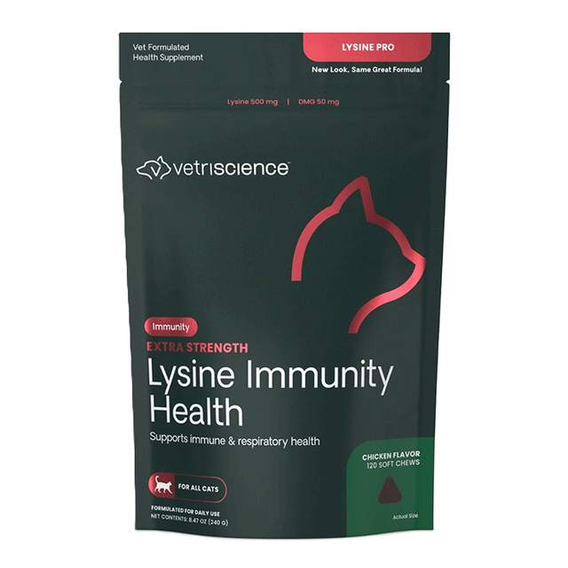 Lysine immuntiy Health