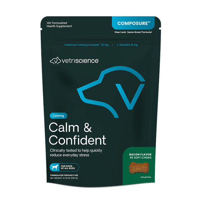 calm and confident bacon