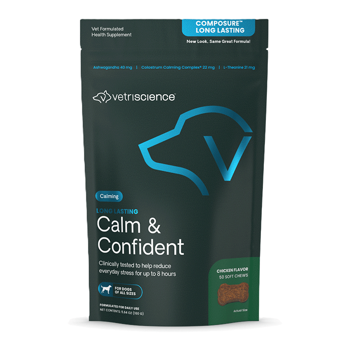 calm and confident chicken