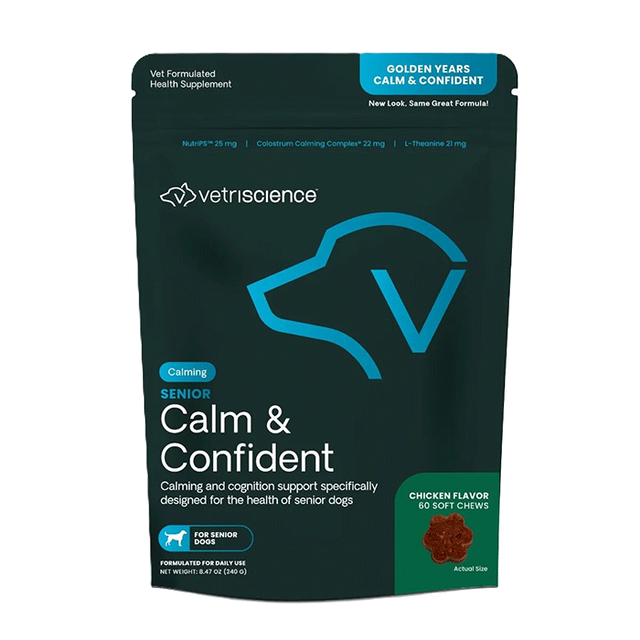 calm and confident senior