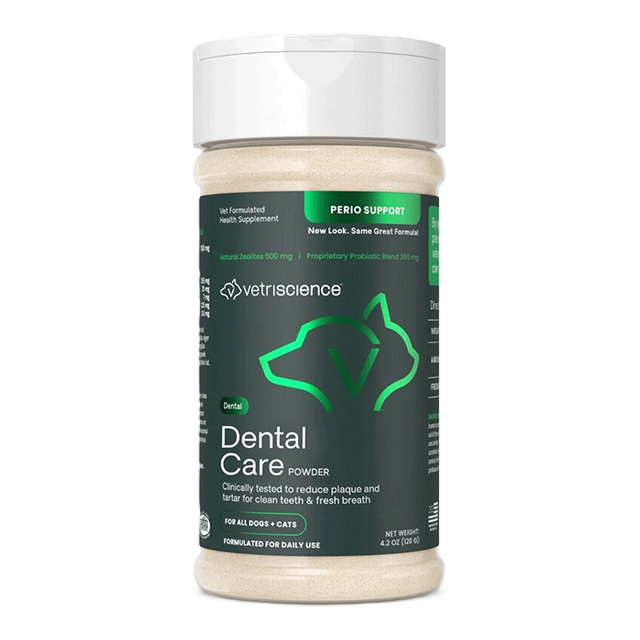 dental care
