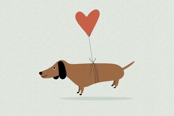 Υποστήριξη Καρδιακής Λειτουργίας Σκύλου: Τα Απαραίτητα Συμπληρώματα (L-Καρνιτίνη, Ταυρίνη, Ωμέγα-3)