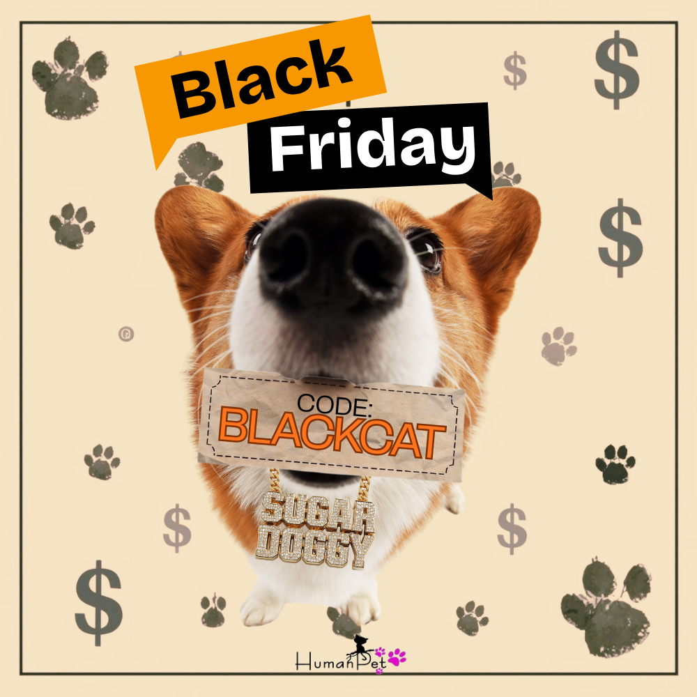 black friday προσφορά