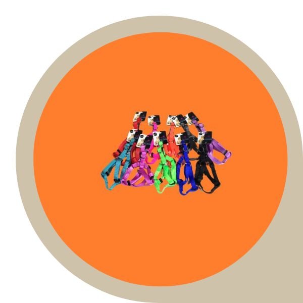 σαμαρακια σκυλου