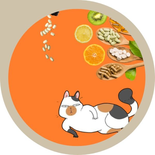 συμπληρωματα διατροφης