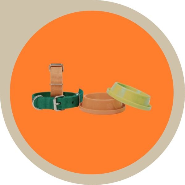 ΑΞΕΣΟΥΑΡ ΓΑΤΑς