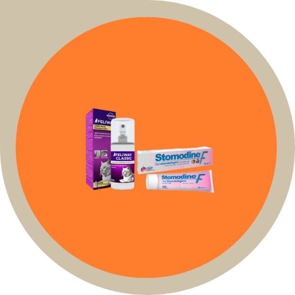 υγιεινή γάτας