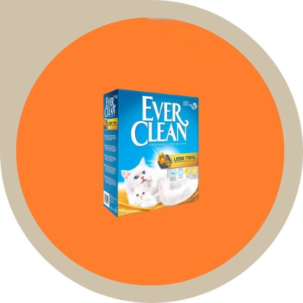 'Αμμοι γάτας