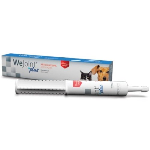 Wejoint Plus Πάστα 30ml