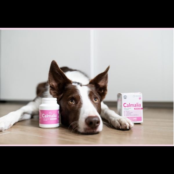 Nutracalm-symplhrwma-entash-agxos